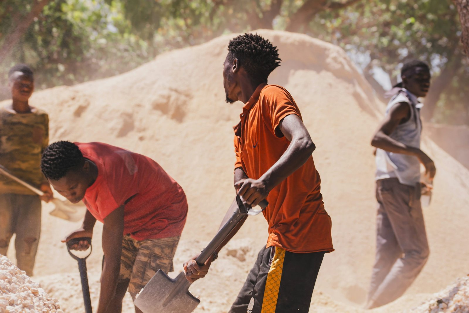 malama mushitu guc65te1k8a unsplash