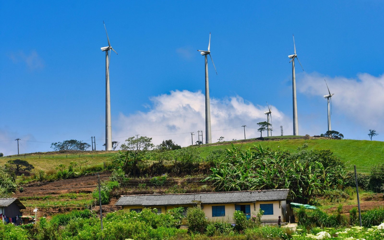 vivek npmyr5zrnzy unsplash